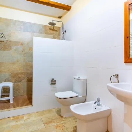 Les Oliveres Mil-lenaries 2