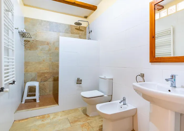 Les Oliveres Mil-lenaries 2